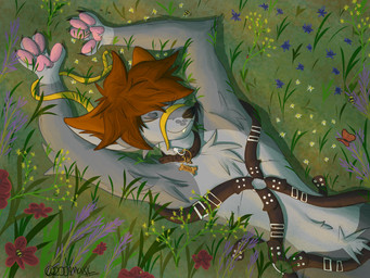 anthro brown_collar brown_hair brown_harness collar detailed_background eyes_closed flower fur grass grass_field grey_body grey_fur hair harness leash leashed_collar lying male name_tag on_back on_grass on_ground pawpads pink_pawpads plant red_eyes solo yellow_leash 2001maxx conditional_dnp maxx_(2001maxx) canid canine canis domestic_dog husky mammal nordic_sled_dog spitz absurd_res hi_res