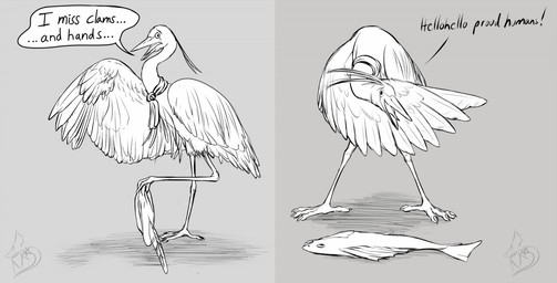 4_toes after_transformation alternate_species ambiguous_feral ambiguous_gender clothing dialogue digitigrade feathered_wings feathers feet feral greeting grey_background hat headgear headwear mostly_nude open_mouth scarf scarf_only simple_background solo species_dysphoria standing talking_feral text toes two_panel_image wings tersethra out-of-placers lopin aquatic avian bird fish heron pelecaniform 2019 digital_media_(artwork) english_description english_text full-length_portrait monochrome portrait signature sketch male_(lore)