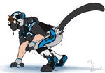 american_football_uniform anthro armor black_body black_fur bottomwear broken_helmet cleats clothing fingerless_gloves football_gear football_helmet football_jersey football_pants football_player footwear fur gloves growth handwear headgear helmet human_to_anthro jersey male mascot pants pose simple_background socks solo species_transformation tail tail_growth tail_growth_in_pants torn_clothing transformation white_background binturongboss carolina_panthers nfl pheagle sir_purr felid mammal pantherine 2022