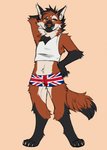 anthro clothing facial_piercing hand_behind_head hand_on_hip male nose_piercing nose_ring piercing ring_piercing solo underwear rinkhet jax_(yeen.queen) canid canine mammal maned_wolf hi_res