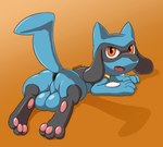 backsack balls big_balls genitals lying male on_front simple_background solo conditional_dnp vanzard nintendo pokemon fan_character vanzard_(character) generation_4_pokemon pokemon_(species) riolu absurd_res hi_res