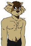 anthro body_hair chin_tuft facial_hair facial_markings facial_tuft happy_trail head_markings male markings solo tuft snoiller_fitzroy_(artist) snoiller_fitzroy domestic_ferret mammal mustelid musteline procyonid raccoon true_musteline weasel digital_drawing_(artwork) digital_media_(artwork) flat_colors