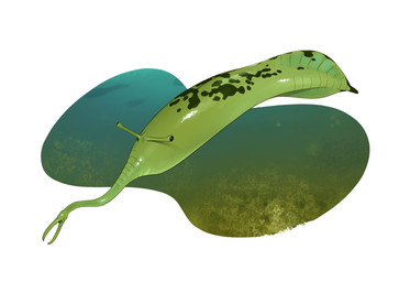 algae ambiguous_feral ambiguous_gender black_body black_eyes black_fin eyestalks feral fin glistening glistening_body glistening_eyes green_body green_fin multicolored_body proboscis_(anatomy) silhouette solo tail tail_fin two_tone_body two_tone_fin underwater water combos-n-doodles aquatic prehistoric_species tully_monster 2026 hi_res