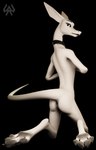 anthro black_background black_collar black_lips butt collar collar_only digitigrade feet hairless lips long_tail looking_at_viewer male nude pale_skin pawpads paws pointy_nose pose raised_tail simple_background slim smooth_skin solo tail white_body white_skin sazemek saz 9:14 hi_res