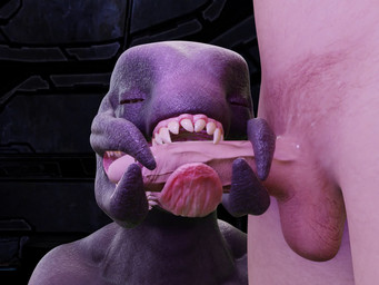 balls bite chewing cock_and_ball_torture duo erection eyes_closed fellatio female genital_torture genitals long_tongue male male/female mandibles mawplay nude open_mouth oral oral_penetration penetration penile penis penis_bite pubes purple_body risky_sex sex simple_background smooth_skin teeth tongue tongue_out tonguejob toothy_fellatio unusual_penetration thegnoll halo_(series) microsoft xbox_game_studios alien human mammal sangheili 3d_(artwork) 3d_animation 4:3 animated blender_(artwork) digital_media_(artwork) loop no_sound short_playtime video