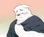 anthro blush bodily_fluids clothing eyes_closed humanoid_hands kemono male shirt slightly_chubby solo tears topwear inunoshippo canid canine canis domestic_dog mammal 2023 hi_res