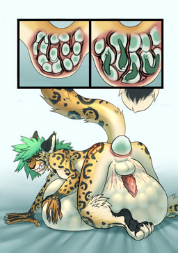 anal anal_oviposition anal_penetration anthro balls bed belly belly_expansion belly_inflation big_belly egg egg_in_ass erection expansion furniture genitals huge_belly hyper hyper_belly inflation male markings nude oviposition ovipositor_in_ass penetration penis pregnant pregnant_anthro pregnant_male rapid_pregnancy solo spots spotted_body stretch_marks stretched_anus suffering tentacle_in_ass tentacle_penetration tentacles x-ray_view ulvbecker felix_(roadd) cheetah felid feline mammal comic hi_res sequence