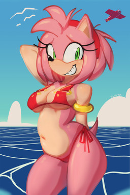 aircraft airplane antenna_hair anthro bangle bikini black_nose blush clothing cloud countershade_arms countershade_torso countershading eyelashes female glistening glistening_nose green_eyes hair hand_behind_head jewelry pink_body pink_hair red_bikini red_clothing red_swimwear sea short_hair sky smile solo swimwear thick_eyelashes two-piece_swimsuit vehicle water faygyo sega sonic_the_hedgehog_(series) amy_rose ambient_bird eulipotyphlan hedgehog mammal absurd_res hi_res