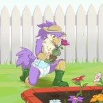 anthro boots clothed clothing diaper fence flower footwear garden gardening gloves grass handwear hat headgear headwear kneeling male outside pantsless picket_fence plant planting rubber_boots shoes solo sun_hat wearing_diaper wetness_indicator yipthecoyotepup abena avian bird 1:1 hi_res