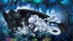 black_body female feral group male membrane_(anatomy) membranous_wings tail white_body wings leokatana dreamworks european_mythology how_to_train_your_dragon mythology dart_(httyd) nubless pouncer_(httyd) ruffrunner_(httyd) toothless dragon fury_(httyd) light_fury mythological_creature mythological_scalie night_fury night_light_(species) scalie western_dragon digital_media_(artwork) hi_res