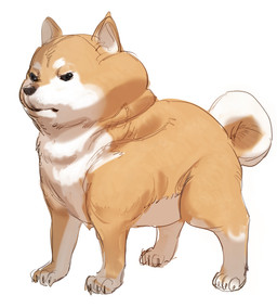 ambiguous_gender angry countershading feral fur looking_at_viewer orange_body orange_fur paws quadruped simple_background solo standing tail white_background bow_(artist) canid canine canis domestic_dog mammal shiba_inu spitz 2021 colored_sketch sketch