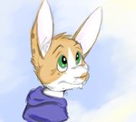 anthro blue_clothing blue_eyes blue_topwear clothed clothing fur head_tuft inner_ear_fluff looking_up male mouth_closed orange_body orange_fur solo topwear tuft white_body white_fur white_inner_ear white_inner_ear_fluff bucklebunny lagomorph leporid mammal rabbit bust_portrait portrait