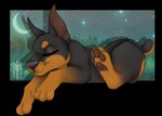 chibi female feral sleeping solo tired thehuntingwolf brooke_(gbg) canid canine canis dobermann domestic_dog mammal pinscher alpha_channel digital_media_(artwork) full-length_portrait portrait