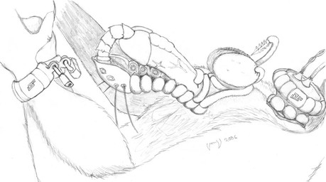 anthro balls blood bodily_fluids buttplug cock_and_ball_torture cuff_(restraint) feral genital_torture genitals handcuffs male metal_cuffs parasite penetration penis plug_(sex_toy) restrained restraints sex_toy shackles spikes tentacles urethral urethral_penetration unknown_artist unknown_artist_signature greyscale monochrome signature source_request