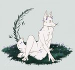 accessory anthro breasts casual_nudity ears_up female flower flower_in_hair fur grass hair hair_accessory humanoid_hands nude nude_female plant purple_flower smile solo tail whiskers white_body white_fur white_hair white_tail crazyfoxlady manzanita canid canine canis coyote mammal