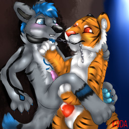 against_surface against_wall anal anal_penetration anthro anthro_on_anthro balls black_markings black_stripes blue_eyes blue_hair blue_markings blue_pawpads blush bodily_fluids chain chain_leash collar countershading cum cum_drip cum_inside cum_on_belly cum_on_body cum_on_penis dominant dominant_male dripping duo erection eye_contact forced fur genital_fluids genitals grey_body grey_fur hair holding_leash holding_object leaning leash leash_pull leg_grab looking_at_another male male/male male_penetrated male_penetrating male_penetrating_male markings nude orange_body orange_fur pawpads penetration penis red_eyes red_penis sex side_view simple_background slave stand_and_carry_position standing standing_sex stripes submissive submissive_male white_body white_countershading koda83 ray-bleiz sangha canid canine canis felid mammal pantherine tiger wolf 1:1 hi_res