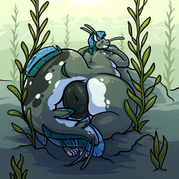 ambiguous_gender anthro anus big_anus big_butt big_tail butt countershading fin head_fin huge_anus huge_butt kelp looking_at_viewer looking_back looking_back_at_viewer overweight presenting presenting_anus puffy_anus rear_view smile solo spots tail tail_fin thick_tail thick_thighs underwater water whiskers wide_hips joebluefox aquatic fish 1:1 absurd_res hi_res