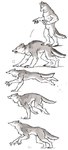 all_fours anthro claws digitigrade dot_eyes fur grey_body grey_fur male naturally_censored nude open_mouth running sharp_teeth snarling solo teeth toony_eyes white_body white_fur savaralyn2 mythology canid canine mammal mythological_canine mythological_creature werecanid werecanine werecreature werewolf hi_res