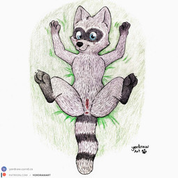 3_toes anus black_paws claws feet female feral genitals legs_up looking_at_viewer lying on_back patreon_logo patreon_username paws shy smile smiling_at_viewer solo spread_legs spreading text toes vulva yordraw cartoon_hangover doctor_lollipop patreon coco_(doctor_lollipop) mammal procyonid raccoon 1:1 hi_res traditional_media_(artwork) url