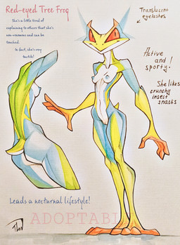 anthro breasts butt eyelashes female long_hands multicolored_body navel nipples non-mammal_breasts non-mammal_navel non-mammal_nipples red_eyes short_tail slim small_breasts small_waist solo tail text translucent_eyelashes tlen_borowski amphibian frog tree_frog absurd_res hi_res model_sheet painting_(artwork) traditional_media_(artwork) traditional_painting_(artwork) traditional_watercolor_(artwork) watercolor_(artwork)