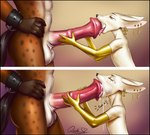 2014 animal_genitalia animal_penis anthro anthro_on_anthro atlas_(jelomaus) balls black_border bodily_fluids border canid canine cum cum_in_mouth cum_inside cum_inside_without_penetration drinking drinking_cum duo ejaculation equid equine equine_genitalia equine_penis erection etheras fellatio fennec_fox flared_penis fox genital_fluids genitals horse jewelry licking licking_tip male male/male mammal medial_ring oral penile penis penis_lick quillu sex sound_effects sucking_tip tongue tongue_out true_fox