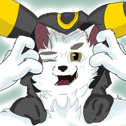 hood male white_body gfoxhvqz nintendo pokemon canid canine canis eeveelution generation_2_pokemon mammal pokemon_(species) umbreon wolf 1:1 absurd_res hi_res