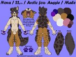 anthro australian facial_hair fluffy fur long_fur solo text raevi10 canid canine canis domestic_dog fox hybrid mammal 4:3 absurd_res english_text hi_res model_sheet url