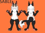 anthro black_body black_fur claws female front_view fur pawpads rear_view solo white_body white_claws white_fur novabeast 4:3