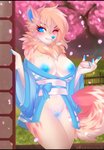 akita anthro asian_clothing blue_eyes blue_nipples blue_pussy blush breasts canid canine canis casual_exposure cherry_blossom clothed clothing detailed_background digital_media_(artwork) domestic_dog east_asian_clothing female genitals hi_res japanese_clothing kimono looking_at_viewer mammal nipples no_underwear off_shoulder one_eye_closed plant pussy sareen shaded smile solo spitz tresertf weeniewonsh wink