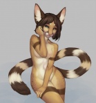 anthro breasts featureless_crotch female heterochromia leg_markings looking_at_viewer markings navel nipples nude pose shy simple_background socks_(marking) solo standing tail whiskers carat tee_(ajna) bassariscus cacomistle mammal procyonid 2012 pinup