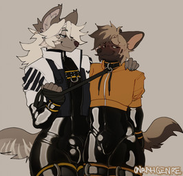 anthro black_bodysuit black_clothing black_latex black_skinsuit blue_eyes blush bodysuit brown_body brown_fur bulge claws clothing crop_top cuff_(restraint) detailed_bulge duo ear_tuft fur green_eyes grey_hair hair hand_on_shoulder hands_behind_back harness hoodie inner_ear_fluff jacket latex latex_bodysuit latex_clothing latex_skinsuit leash leash_pull long_hair male male/male markings orange_clothing restraints shirt skinsuit striped_markings striped_tail stripes tail tail_markings tight_clothing topwear tuft white_hair wrist_cuffs onrahgenre jakobus hyena mammal hi_res