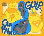 abdominal_bulge accessory ambiguous_gender anthro beak blue_insides duo eyewear glasses hair_accessory heart_(marking) internal markings one_eye_closed oral_vore organs patting_belly soft_vore spread_legs spreading stomach swallowing swallowing_sound_effect tail vore eclairscollection avian koala mammal marsupial vombatiform