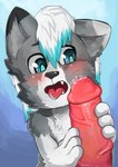 anthro big_penis blush bodily_fluids drooling erection genital_fluids genitals holding_penis male nude nuzzling open_mouth penis penis_against_cheek penis_grab penis_nuzzling penis_on_face precum rubbing_penis saliva tongue tongue_out young young_anthro young_male kake0078 dante_kinkade canid canine canis mammal wolf absurd_res hi_res