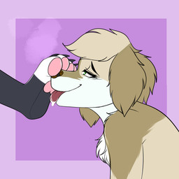 anthro duo feet female foot_fetish foot_play licking looking_pleasured male male/female paws tongue shianko gracie_(vixeyhuskybutt) bird_dog canid canine canis domestic_dog golden_retriever hunting_dog mammal retriever 1:1 absurd_res hi_res