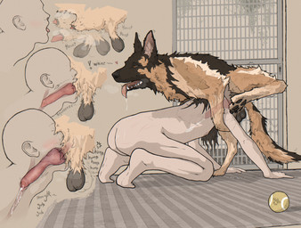 4_toes 5_fingers all_fours ambiguous_gender ambiguous_penetrated anatomically_correct anatomically_correct_genitalia anatomically_correct_penis animal_genitalia animal_penis ball balls becoming_erect bent_over bestiality black_balls blush bodily_fluids breath brown_body brown_fur brown_hair butt canine_genitalia canine_penis carpet claw_marks close-up cross-popping_vein cum cum_in_mouth cum_in_throat cum_inside cum_on_ground cumshot cumshot_in_mouth deep_throat directional_arrow door drinking drinking_cum dripping duo ejaculation erection exclamation_point eyes_closed face_fucking face_mounting fangs feet feral feral_penetrating feral_penetrating_human fingers fur genital_fluids genitals hair heart_symbol human_on_feral human_penetrated humping inside internal internal_oral interspecies irrumatio knot knot_in_sheath knotted_penis knotting leaking_precum lipsticking long_hair looking_pleasured male male/ambiguous male/male male_penetrating male_penetrating_ambiguous mating_grip motion_lines nipples nude on_one_leg one_leg_up open_mouth oral oral_knotting oral_penetration orange_eyes orgasm_face panting penetration penile penis penis_in_mouth penis_tip precum precum_squirt precum_string raised_leg realistic_feral saliva saliva_drip saliva_on_butt saliva_on_tongue saliva_string sex shaking sheath side_view standing steam swallowing tan_body tan_fur teeth tennis_ball text three-quarter_view throbbing throbbing_balls thrusting toes tongue tongue_out translucent trembling tuft hotdogmeat canid canine canis domestic_dog german_shepherd herding_dog human mammal pastoral_dog 2025 absurd_res digital_media_(artwork) hi_res sequence