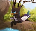 blep blue_eyes creek day female feral outside solo tongue tongue_out water waterfall reysi azukipuddles mythology azuki_(azukipuddles) avian bird corvid gryphon holarctic_magpie magpie_(corvid) mythological_avian mythological_creature oscine passerine yellow-billed_magpie digital_media_(artwork) hi_res shaded