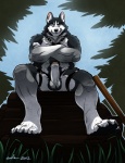 2012 4_toes abs anthro balls biceps big_muscles black_nose blue_eyes bondage_gear canine claws crossed_arms dog erection fangs fur grass grey_fur grin humanoid_penis husky kougatalbain leather logs looking_at_viewer male muscles nude outside pecs penis pose presenting rurik sitting sky smile solo teeth toe_claws uncut wfa
Rating: Explicit
Score: 16
User: BlackBoltEX
Date: June 29, 2013