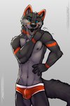 5_fingers anthro athletic athletic_anthro athletic_male black_nose black_sclera black_tongue blue_eyes briefs briefs_only bulge clothed clothing fingers fluffy fluffy_tail fur grey_body grey_fur hand_on_hip hand_on_shoulder licking looking_at_viewer male markings navel neck_muscles neck_tuft open_mouth pecs red_clothing red_markings red_speedo red_swimwear self_lick simple_background solo speedo swimwear tail teeth tongue tongue_out topless tuft underwear underwear_only tsaiwolf bonfire_(bonfirefox) canid canine fox mammal 2018 hi_res