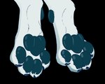 4_toes ambiguous_gender anthro claws curling_toes feet foot_focus foot_shot fur pawpads simple_background solo toes transparent_background white_body white_fur mituni_(artist) mammal unknown_species alpha_channel animated hi_res loop short_playtime