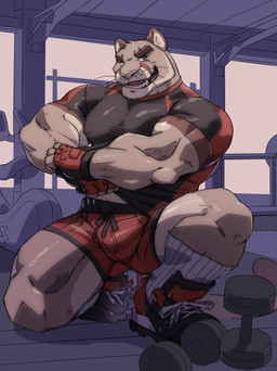anthro athletic_wear bottomwear clothing compression_shirt costume fingerless_gloves flexing footwear gloves gym gym_bottomwear gym_shorts handwear male muscular muscular_anthro muscular_male pose removing_shirt shoes shorts smile sneakers sport_suit weights tiggon_the_great ricius_teck cougar felid feline mammal absurd_res hi_res