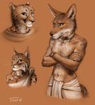 2018 ambiguous_gender anthro black_body black_fur bottomwear brown_body brown_fur canid canine canis chain cheetah clothed clothing collar conditional_dnp coyote ear_piercing egyptian_clothing felid feline fur grumpy hi_res jewelry loincloth looking_at_viewer lynx male mammal multiple_images navel necklace piercing scar scarf shendyt signature simple_background smile solo titusw topless white_body white_fur yellow_eyes