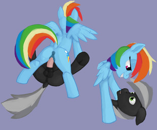anatomically_correct anatomically_correct_genitalia anatomically_correct_vulva animal_genitalia animal_penis animal_vulva anus balls black_body black_fur blue_body blue_feathers blue_fur butt cutie_mark duo equine_genitalia equine_penis equine_vulva erection feathered_wings feathers female female_penetrated feral from_front_position fur genitals green_eyes grey_hair hair hooves legs_up lying male male/female male_penetrating male_penetrating_female multicolored_hair multicolored_tail nude on_back on_top penetration penile penile_penetration penis penis_in_vagina perineum puffy_anus purple_eyes rainbow_hair rainbow_tail raised_tail reverse_missionary_position sex sheath simple_background smile spread_legs spreading straddling tail teeth vaginal vaginal_penetration vulva wings doe-shmo friendship_is_magic hasbro my_little_pony mythology fan_character jac rainbow_dash_(mlp) equid equine mammal mythological_creature mythological_equine pegasus absurd_res hi_res