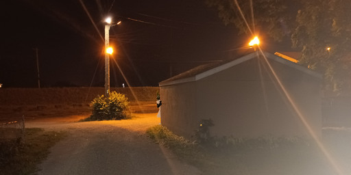 black_sky fence grass horror_(theme) male night outside photo_background plant real shed shrub sky solo stalking standing street_lamp tree valentine_(lolpins) real_world hound_(wonderstrut) canid canine entity mammal absurd_res digital_media_(artwork) hi_res mixed_media photography_(artwork)