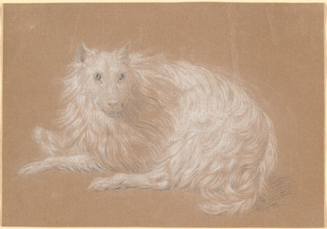 ambiguous_feral ambiguous_gender digitigrade feral fur looking_at_viewer lying on_front paws quadruped simple_background solo tail white_body white_fur nicolai_abildgaard public_domain canid canine canis domestic_dog mammal 18th_century absurd_res ancient_art chalk_(artwork) hi_res traditional_media_(artwork)