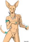 2006 5_fingers animal_genitalia anthro balls canid canine canis dagger domestic_dog ears_up fingers fur genitals male mammal melee_weapon pharaoh_hound primitive_dog ring_(jewelry) sanssouci sheath solo tail tail_wraps tan_body tan_fur tooth_necklace weapon wraps yellow_eyes