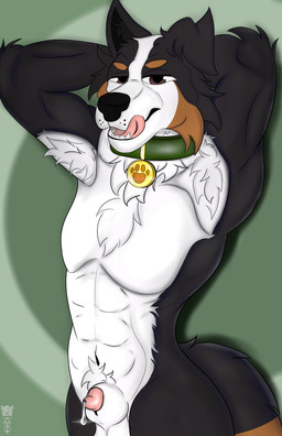 animal_genitalia anthro armpit_hair balls black_body black_fur black_nose bodily_fluids body_hair brown_body brown_eyebrows brown_eyes brown_fur collar cum dark eyebrows fur genital_fluids genitals green_collar looking_at_viewer male muscular penis precum sheath simple_background smile solo tail teeth tongue white_body white_fur zerkowolf animal_humanoid canid canid_humanoid canine canine_humanoid dog_humanoid humanoid mammal mammal_humanoid unknown_species armpits 2025 absurd_res digital_drawing_(artwork) digital_media_(artwork) hi_res