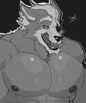 abs anthro barazoku body_hair chest_hair eye_patch eyewear fangs fur glistening_pecs grey_body grey_fur hairy male mature_anthro mature_male muscular muscular_anthro muscular_male nipples open_mouth pecs red_eyes solo teeth tongue tongue_out whiskers pinumontbalou nintendo star_fox wolf_o'donnell canid canine canis mammal wolf absurd_res hi_res