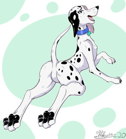 black_body black_fur butt collar fangs featureless_butt featureless_crotch female feral fur looking_at_viewer looking_back looking_back_at_viewer lying markings multicolored_body multicolored_fur open_mouth pawpads presenting presenting_hindquarters solo sploot spots spotted_body spotted_fur teeth tongue toony white_body white_fur marcushunter 101_dalmatian_street 101_dalmatians disney delilah_(101_dalmatians) canid canine canis dalmatian domestic_dog mammal 2020 absurd_res hi_res