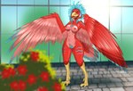 2022 after_transformation anthro avian beak bird blue_eyes blue_hair breasts digital_media_(artwork) feathered_wings feathers feet female hair halcy0n hi_res nipples red_body red_feathers solo spread_wings standing talons toes wings