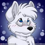 anthro blue_background blue_eyes blush fur simple_background solo white_body white_fur wolfblade artie canid canine fox mammal 1:1